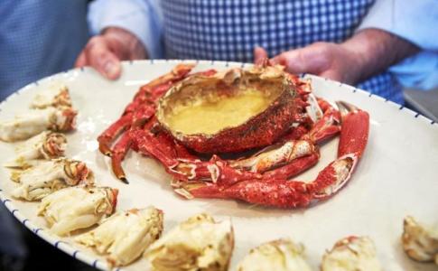 centollo-mariscos-caracter-sticas-e-informaci-n